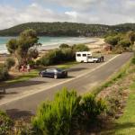 Lorne - Shelly beach